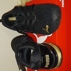 Black and gold pumas